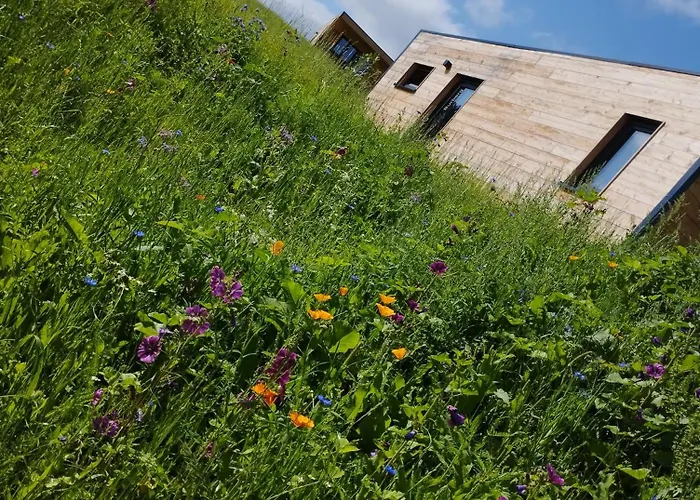 Semesterbostad Edersee Gmbh